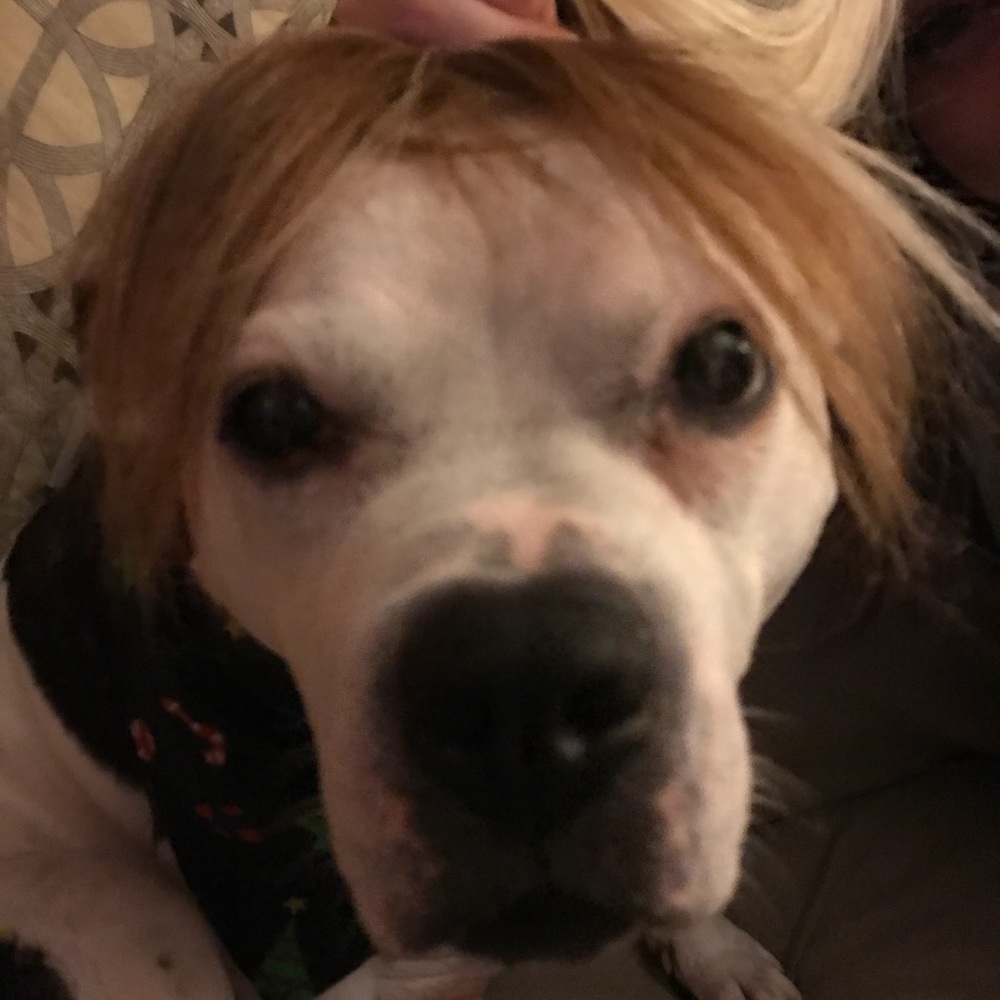 Meet your Posher, Sean